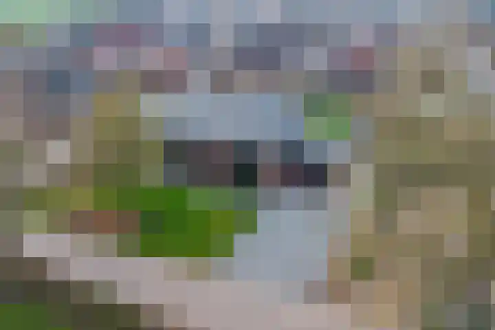 Zandsteeg 7 b Sambeek thumbnail 7