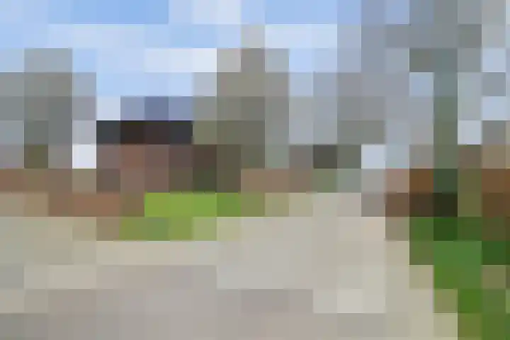 Zandsteeg 7 b Sambeek thumbnail 8