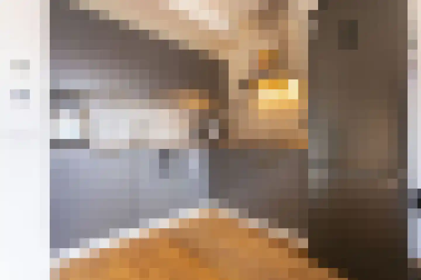 Zandsteen 100 Hoorn thumbnail 15