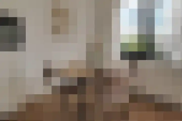Zandsteen 111 Hoorn thumbnail 15