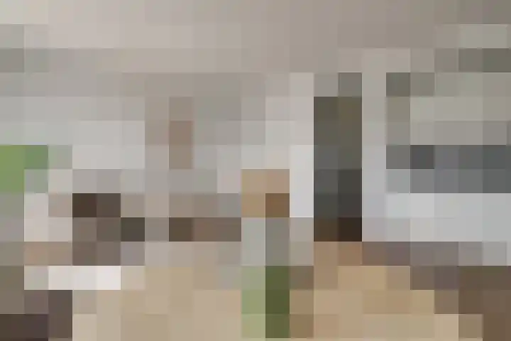 Zandsteen 111 Hoorn thumbnail 16
