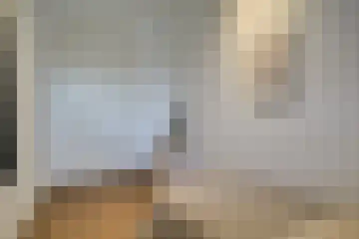 Zandsteen 111 Hoorn thumbnail 22