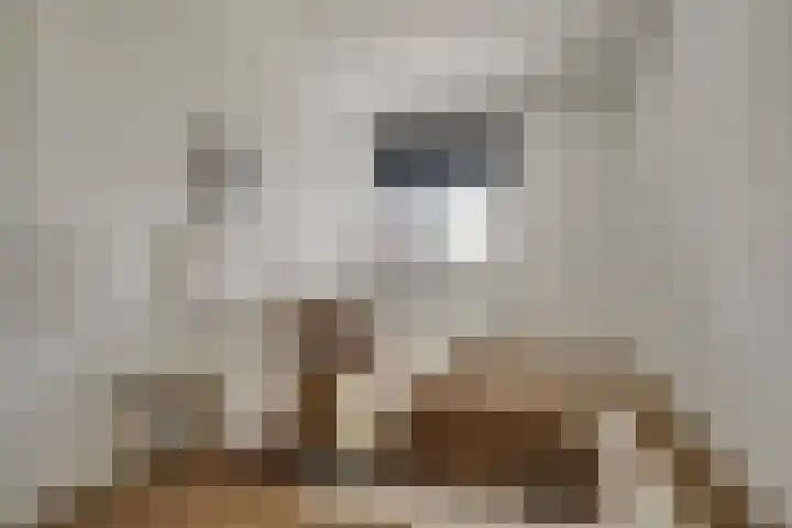 Zandsteen 111 Hoorn thumbnail 23