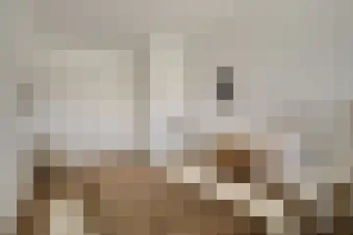 Zandsteen 111 Hoorn thumbnail 25
