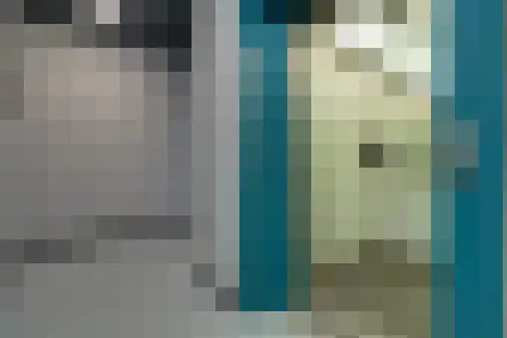 Zandsteen 111 Hoorn thumbnail 6