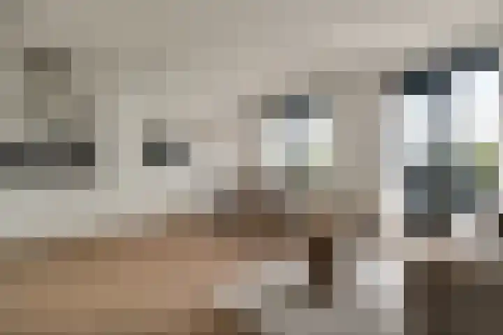 Zandsteen 111 Hoorn thumbnail 9