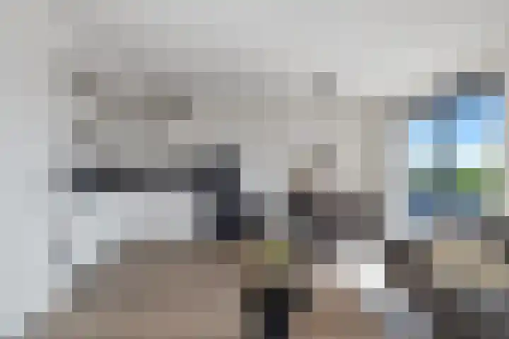 Zandsteen 120 Hoorn thumbnail 38