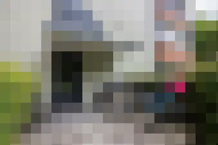 Zandsteen 17 Hoorn thumbnail 10