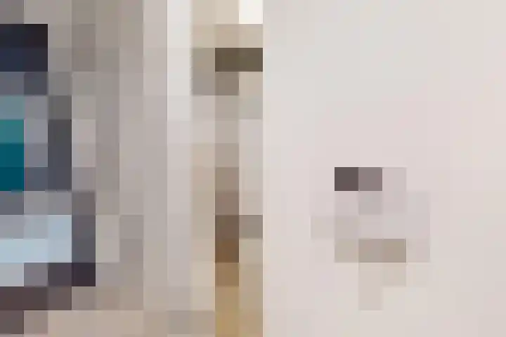 Zandsteen 17 Hoorn thumbnail 17