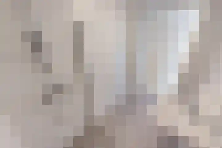 Zandsteen 17 Hoorn thumbnail 25
