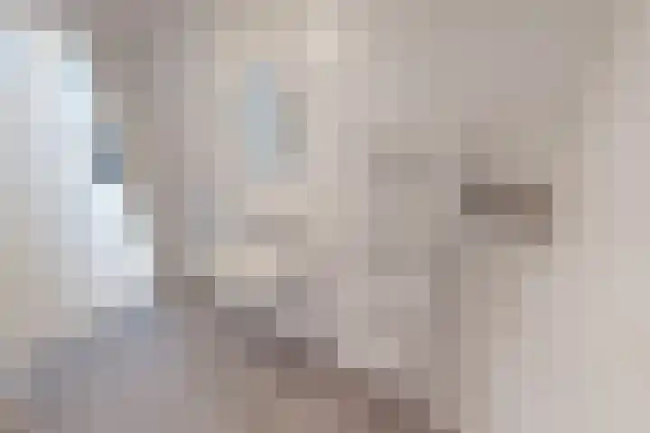 Zandsteen 17 Hoorn thumbnail 26