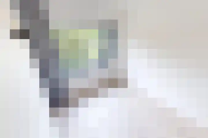 Zandsteen 17 Hoorn thumbnail 31