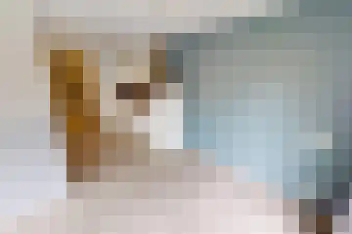 Zandsteen 17 Hoorn thumbnail 38
