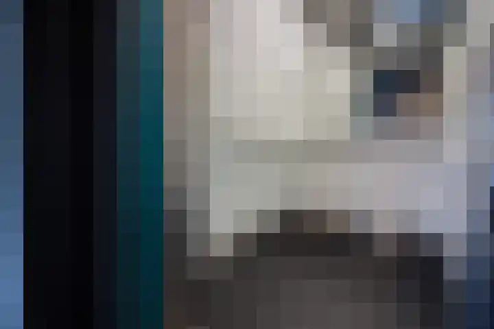 Zandsteen 17 Hoorn thumbnail 9