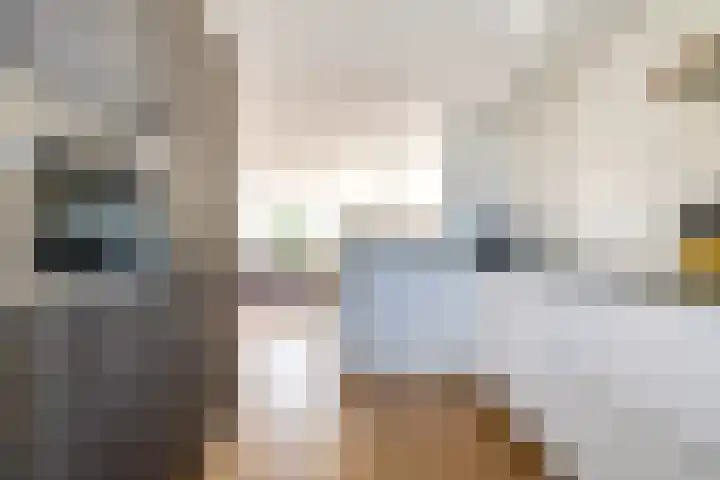 Zandsteen 2 Houten thumbnail 19