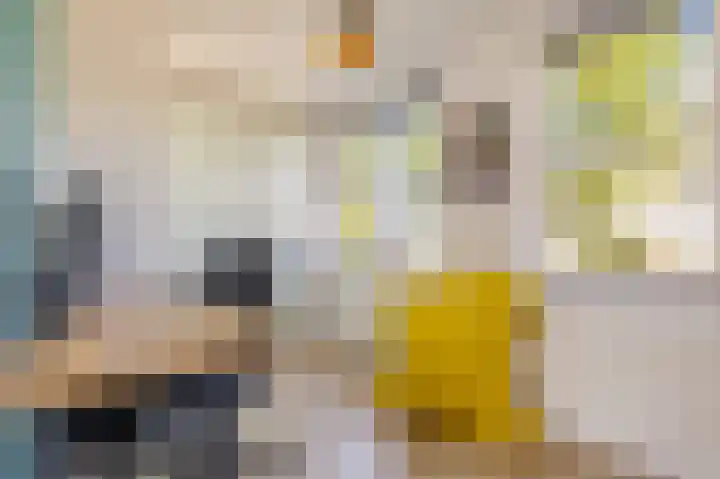 Zandsteen 2 Houten thumbnail 29