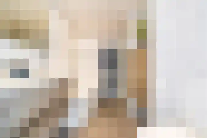 Zandsteen 2 Houten thumbnail 31