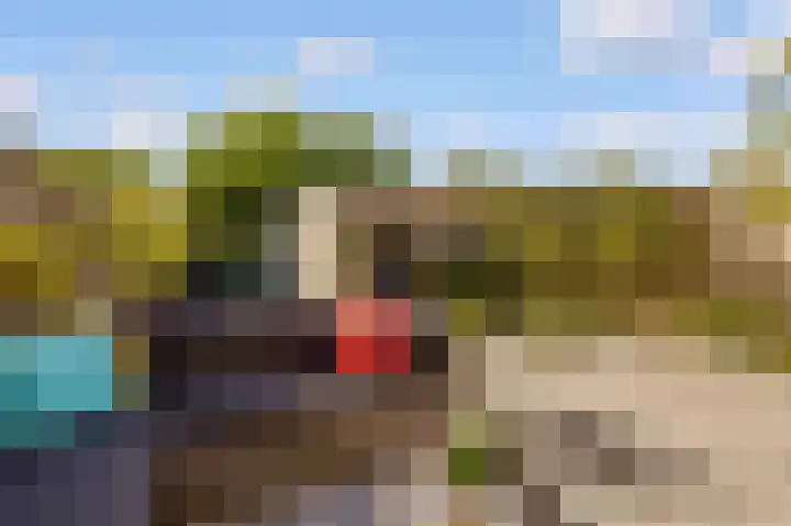 Zandsteen 2 Houten thumbnail 44