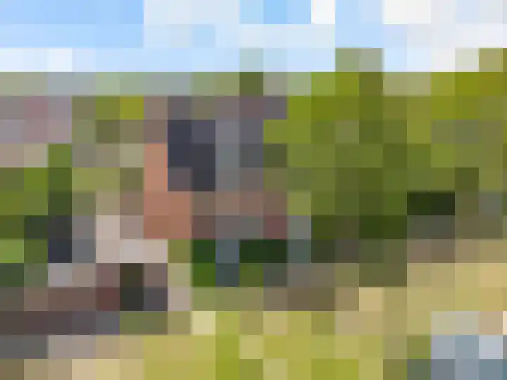 Zandsteen 2 Houten thumbnail 48