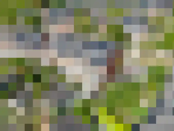 Zandsteen 2 Houten thumbnail 49