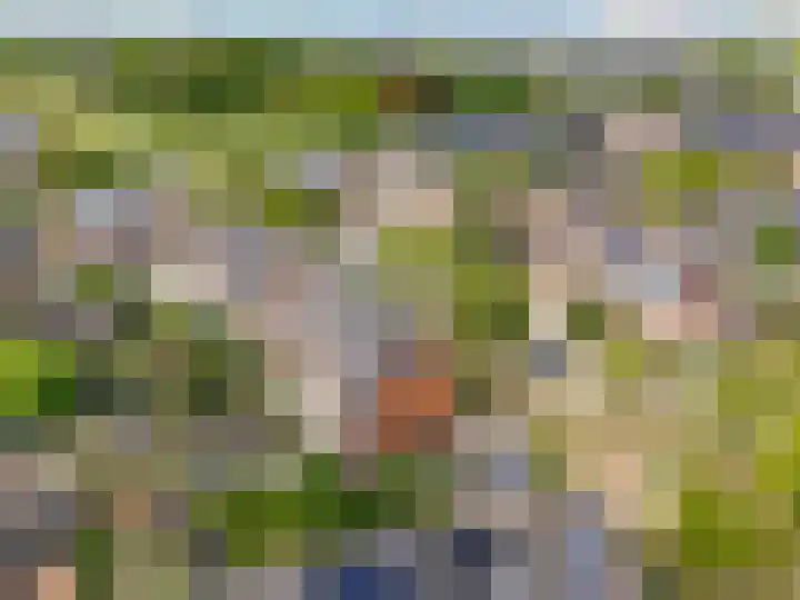 Zandsteen 2 Houten thumbnail 50