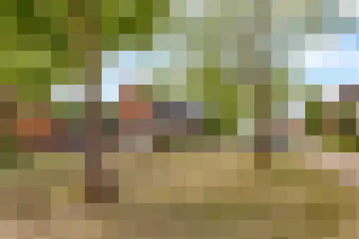 Zandsteen 2 Houten thumbnail 51
