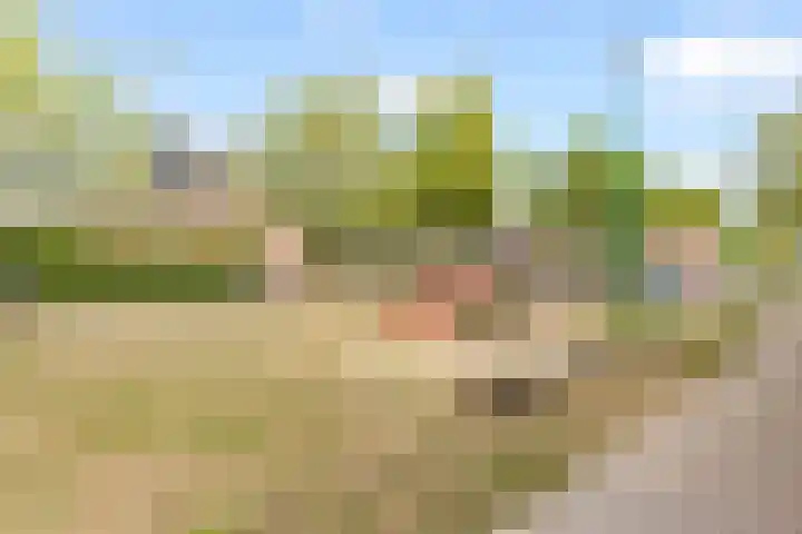 Zandsteen 2 Houten thumbnail 52