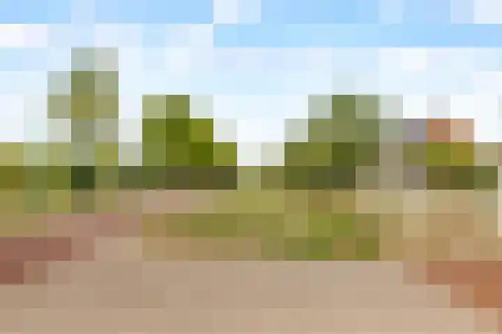 Zandsteen 2 Houten thumbnail 53