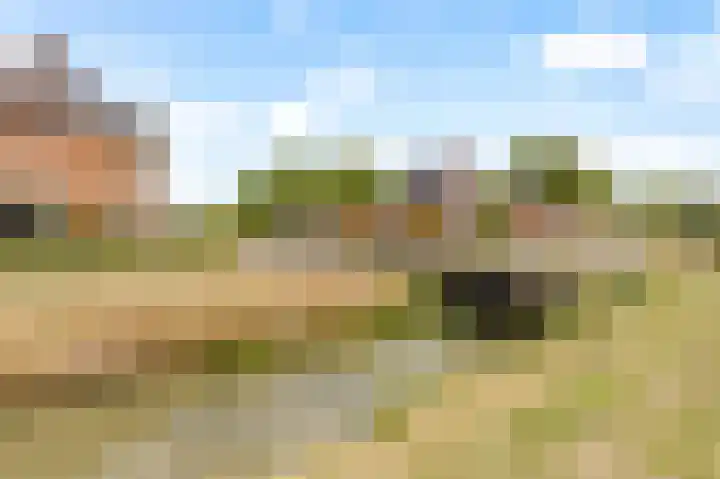 Zandsteen 2 Houten thumbnail 54
