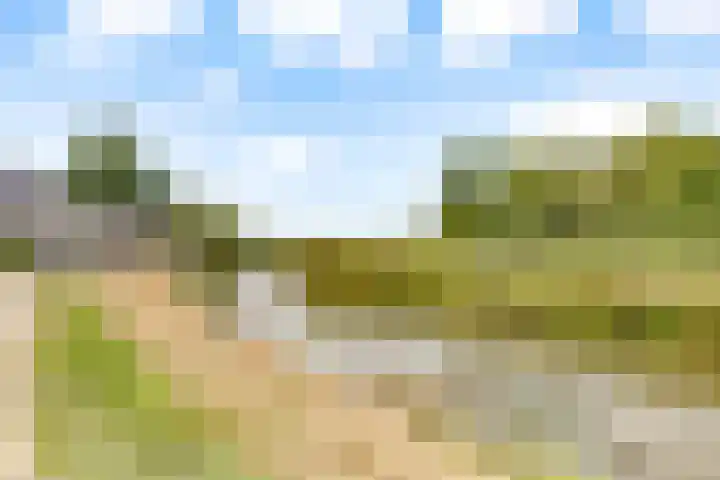 Zandsteen 2 Houten thumbnail 55