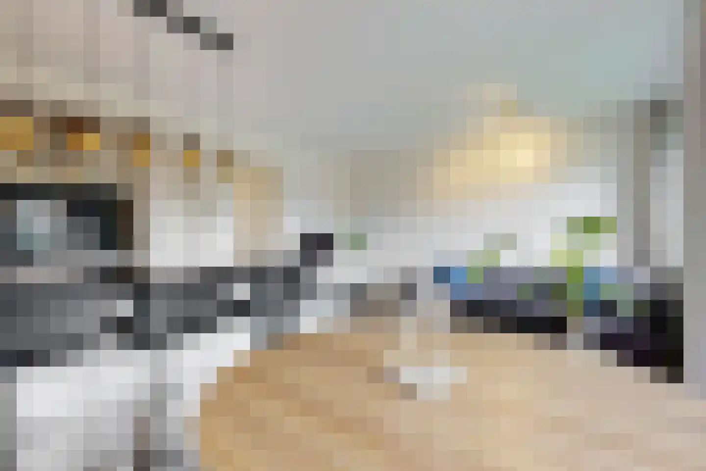 Zandsteen 31 Hoorn thumbnail 8