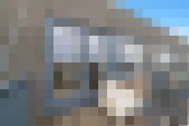 Zandsteen 43 Hoorn thumbnail 42