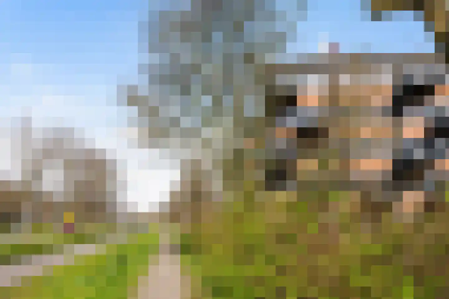 Zandsteen 44 Hoorn thumbnail 32