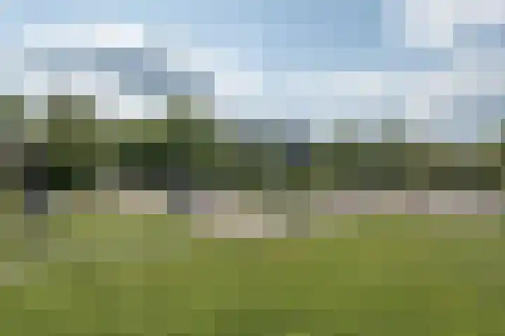 Zandsteen 58 Hoorn thumbnail 16