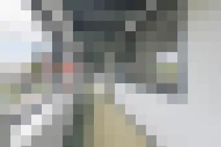 Zandsteen 58 Hoorn thumbnail 8