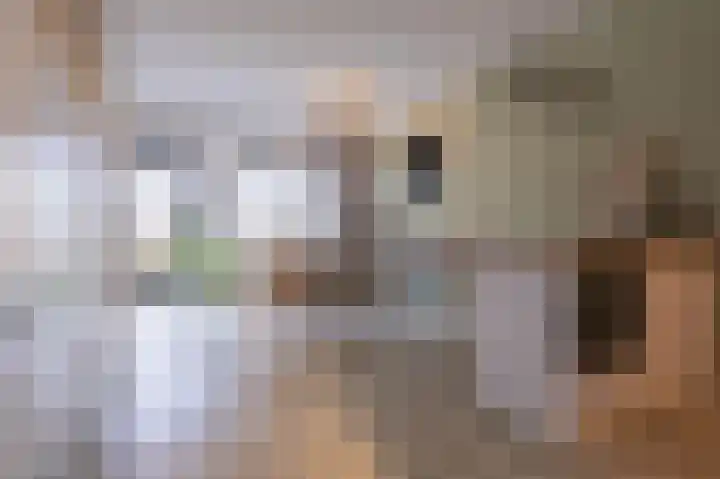 Zandsteen 6 Hoorn thumbnail 10