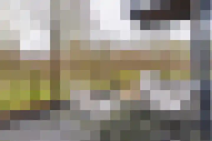 Zandsteen 6 Hoorn thumbnail 25