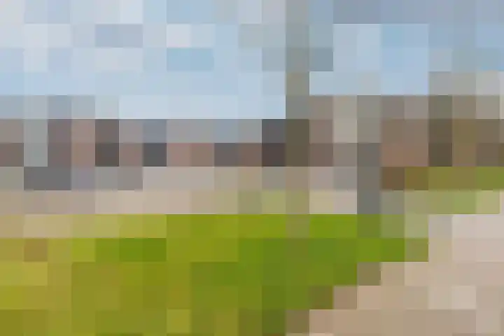Zandsteen 6 Hoorn thumbnail 5
