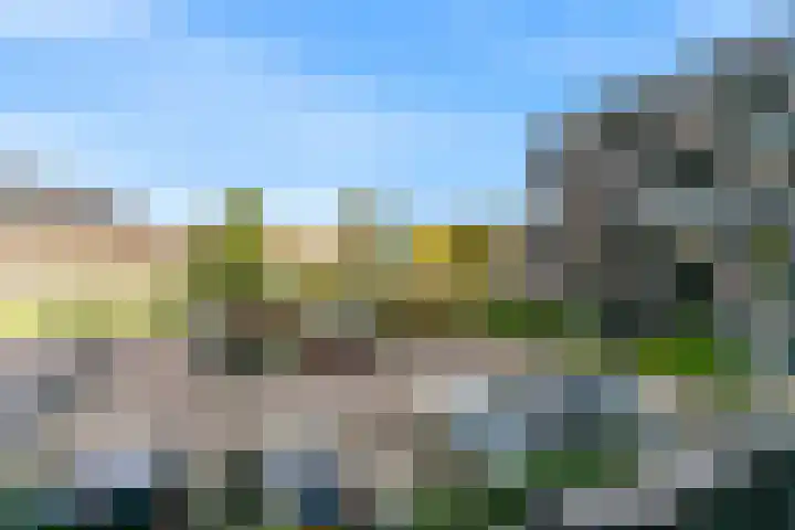 Zandsteen 64 Hoorn thumbnail 20