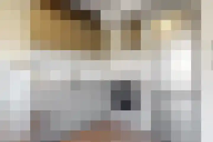 Zandsteen 64 Hoorn thumbnail 5