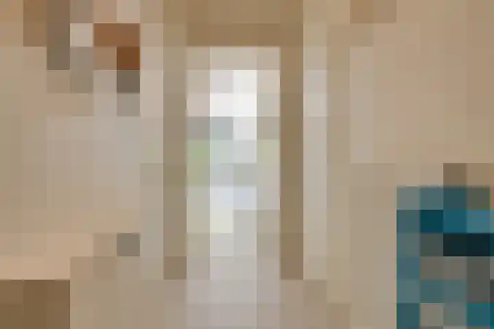 Zandsteen 7 Hoorn thumbnail 10