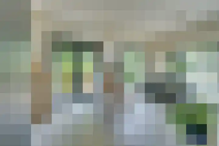 Zandsteen 7 Hoorn thumbnail 11