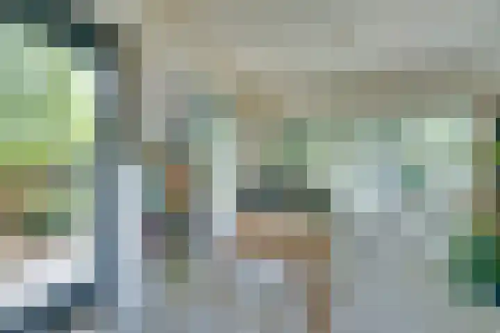 Zandsteen 7 Hoorn thumbnail 12