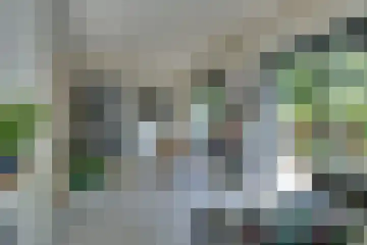 Zandsteen 7 Hoorn thumbnail 15
