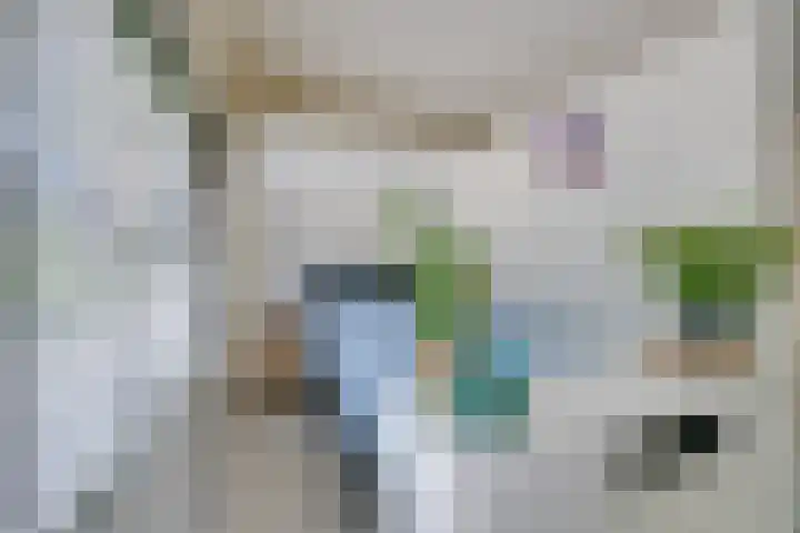 Zandsteen 7 Hoorn thumbnail 16
