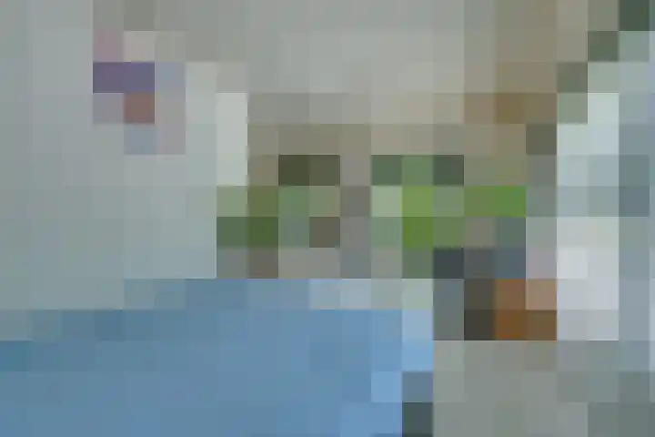 Zandsteen 7 Hoorn thumbnail 17
