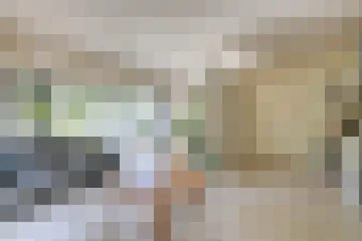 Zandsteen 7 Hoorn thumbnail 20