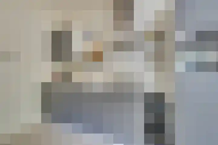 Zandsteen 7 Hoorn thumbnail 22