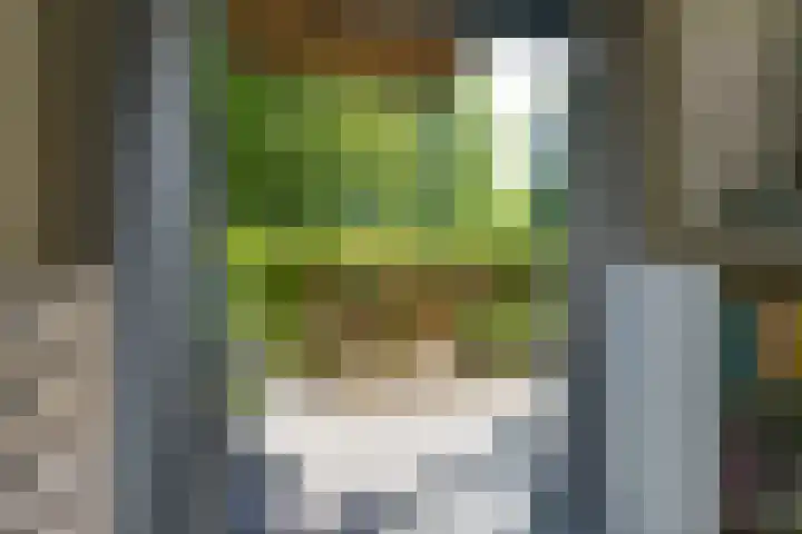 Zandsteen 7 Hoorn thumbnail 26