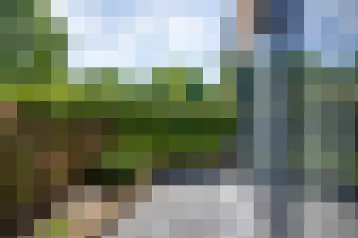 Zandsteen 7 Hoorn thumbnail 27